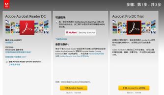 告别Flash时代 为何我们仍难舍“过时”软件与服务